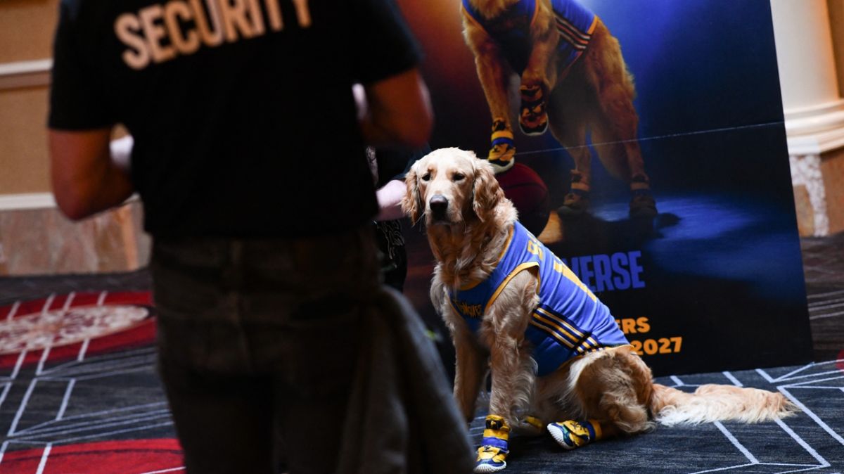 Air Bud fait son retour à Hollywood avec un vrai chien