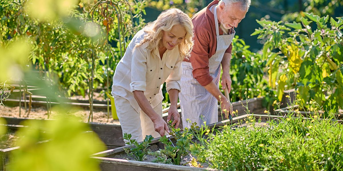 8 aménagements extérieurs astucieux pour simplifier la vie des seniors