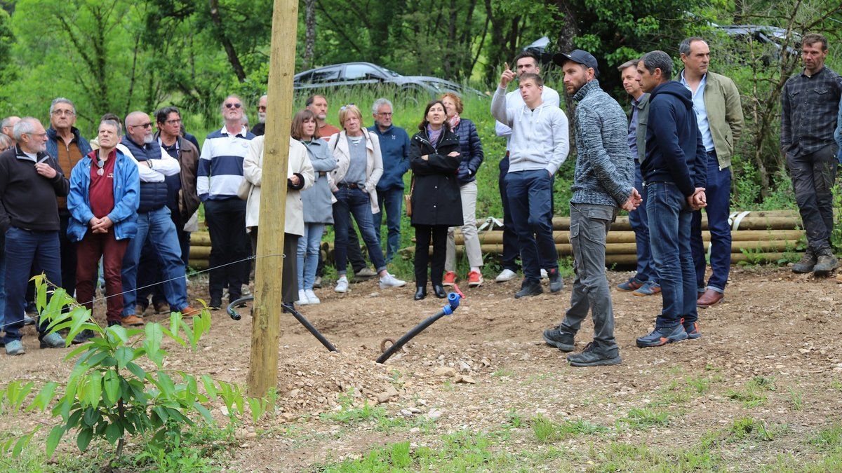 Agriculture durable : l'exemple inspirant du Sud-Aveyron