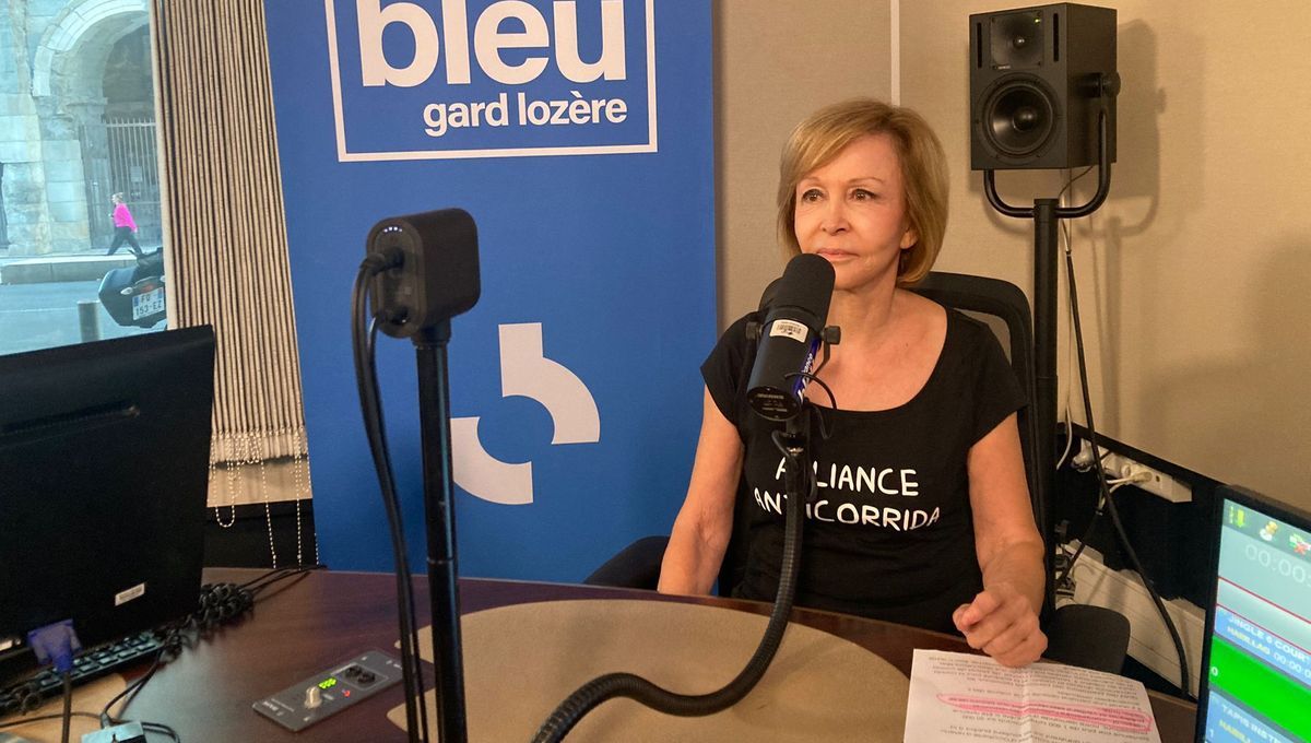 La jeunesse nîmoise dit non à la corrida : un sondage révélateur