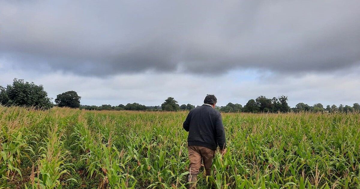Les agriculteurs d'Occitanie s'interrogent sur le projet de loi d'urgence agricole
