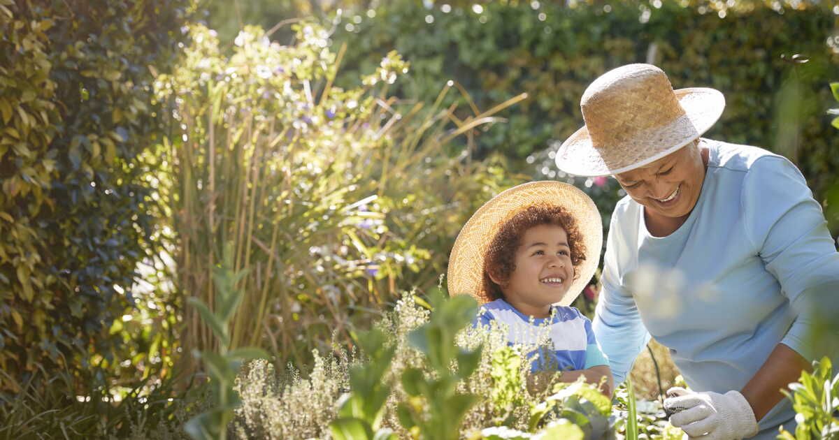 Que faire au potager à l'approche de l'été ?