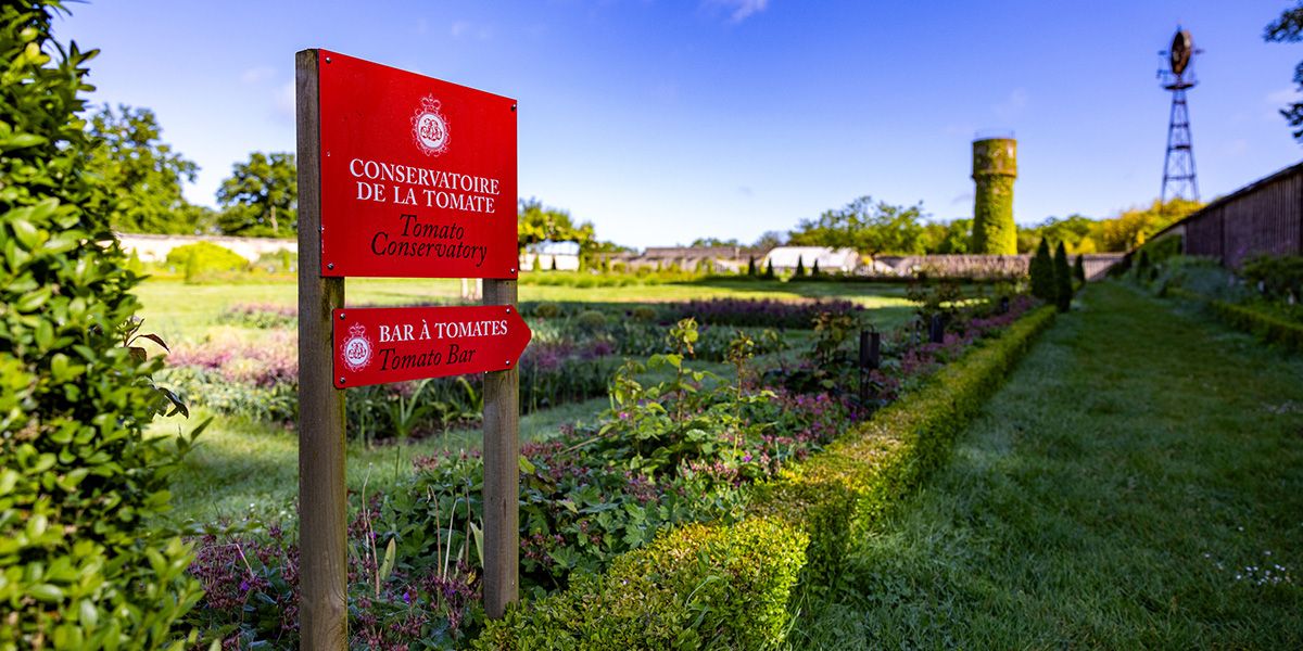 À la découverte du conservatoire de la tomate au château de la Bourdaisière