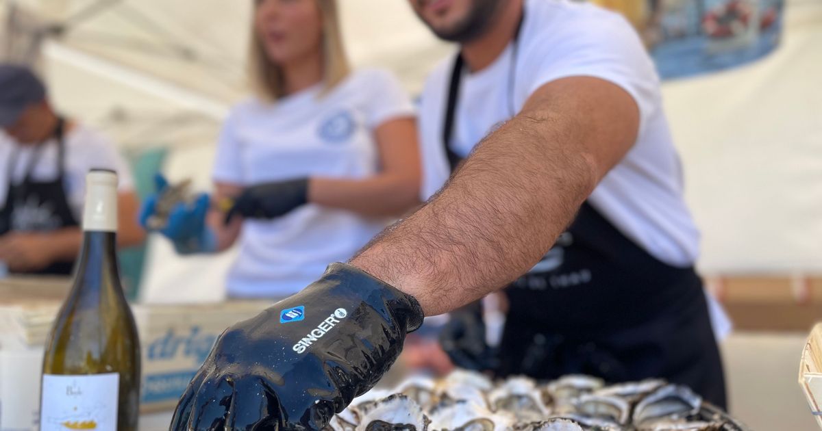 L'éveil des huîtres de Thau : un pique-nique festif à Sète