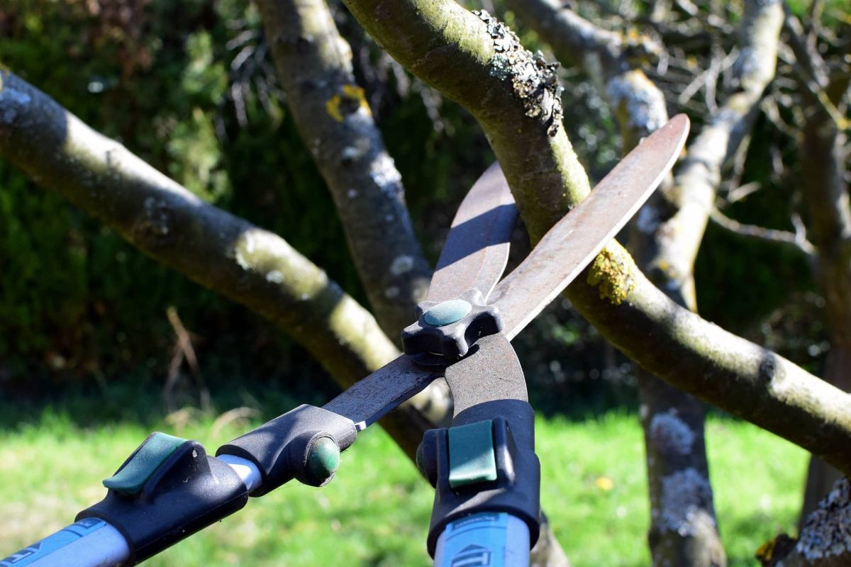 À la découverte du coupe-branches téléscopique PowerGear™ à prix mini chez Castorama