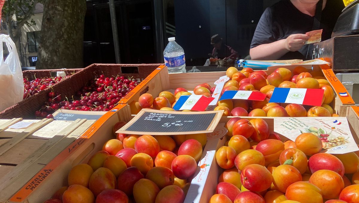 Les fruits d'été font leur apparition en Occitanie, un régal précoce pour les consommateurs