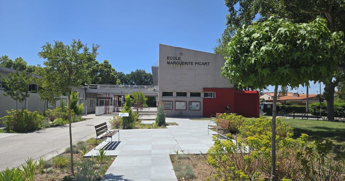 Des cours d'école végétalisées : une solution face à la chaleur à Toulouse