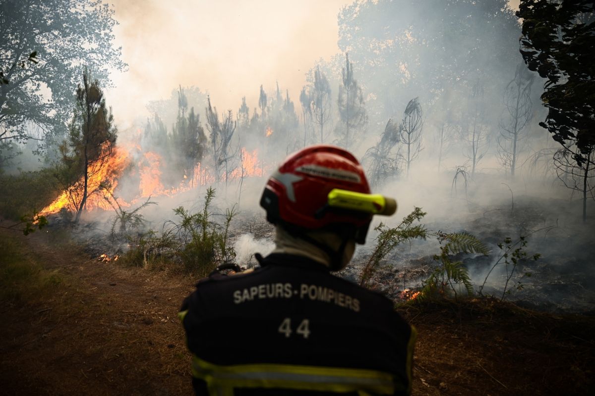 Pompiers en alerte face à la vague de chaleur : l'ombre des feux de forêt se profile