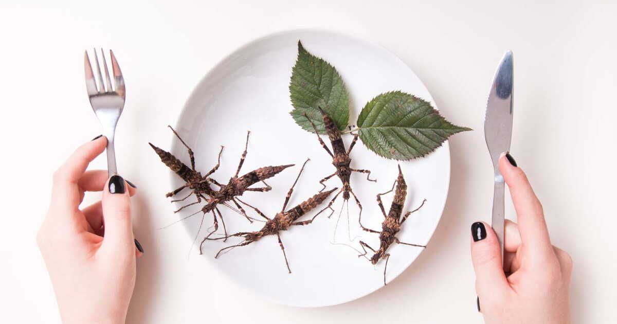 Manger des insectes : un gain pour notre santé et la planète