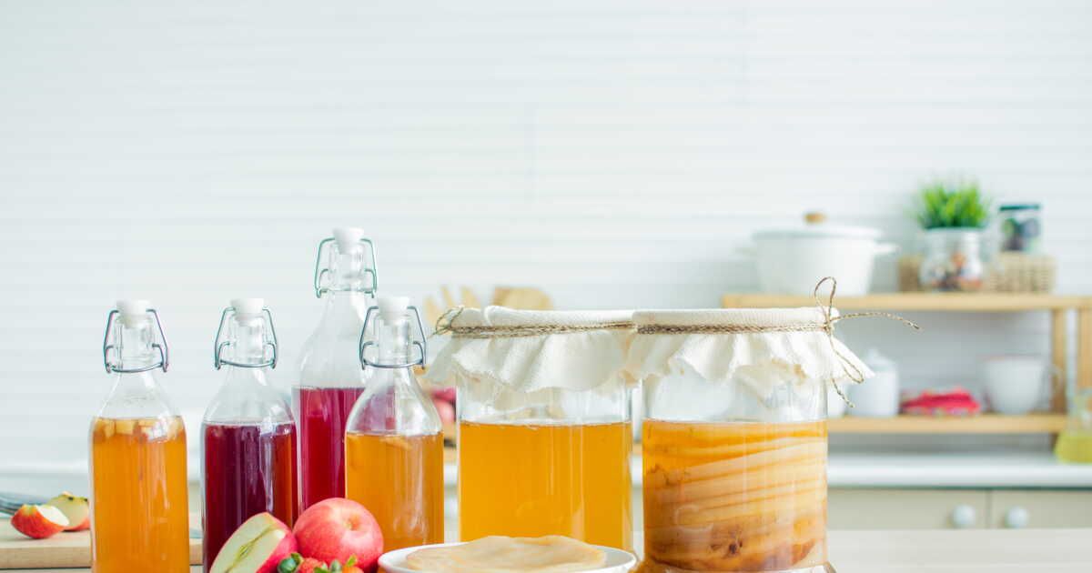 Les secrets du kombucha fait maison et ses incroyables bienfaits