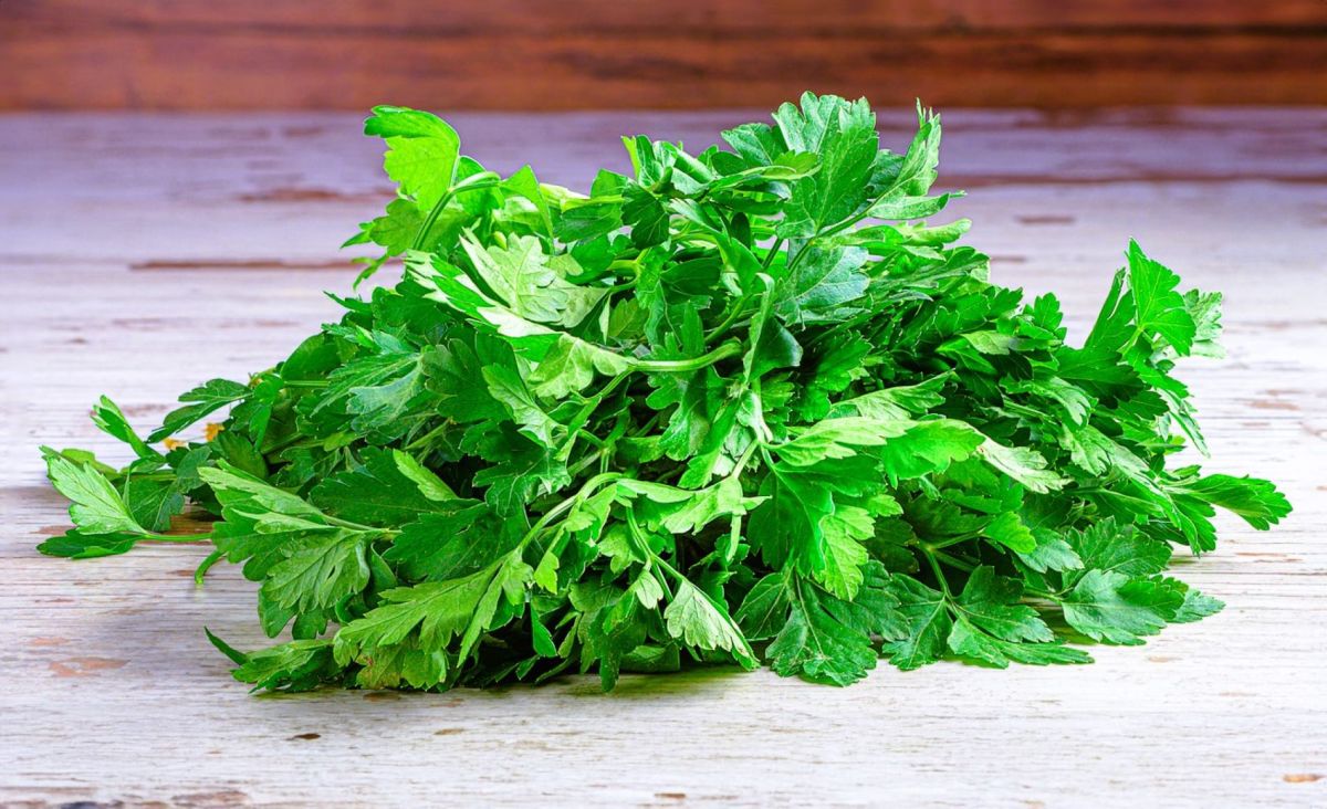 La méthode surprenante pour garder vos herbes fraîches trois semaines