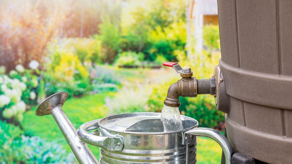 les enjeux de la sécheresse : êtes-vous affecté par les restrictions d’eau ?