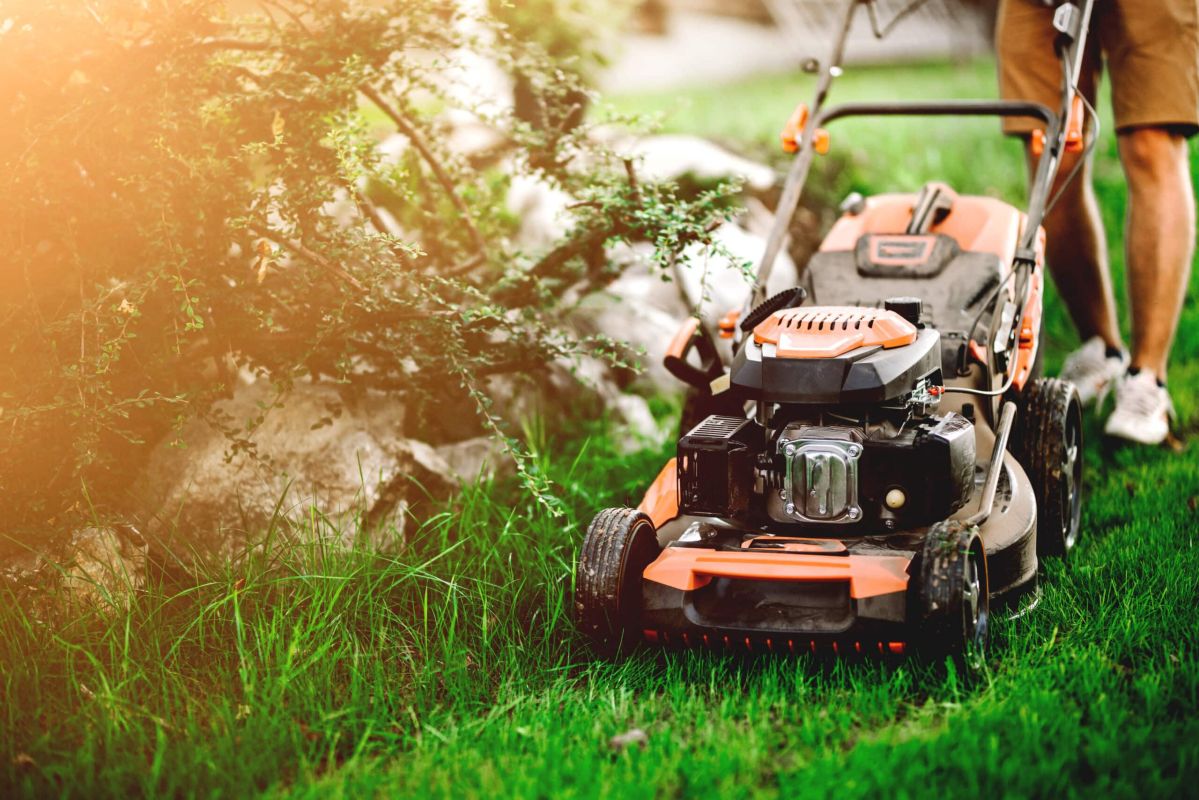 5 astuces pour garder votre pelouse verdoyante sous le soleil d'été