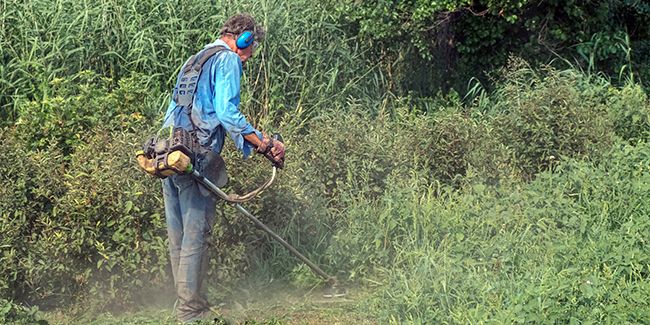 Débroussaillage : vos devoirs pour protéger votre maison contre les incendies