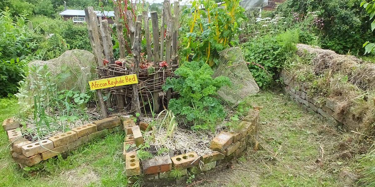 Découvrez le jardin en trou de serrure : un potager innovant et pratique