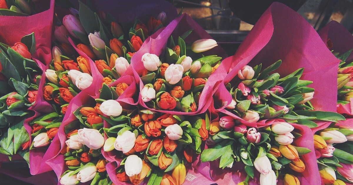 Sélection de fleurs coupées : guide essentiel avant l'achat