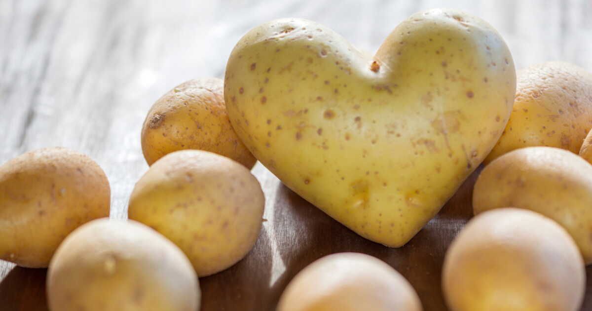 Les secrets surprenants de la pomme de terre