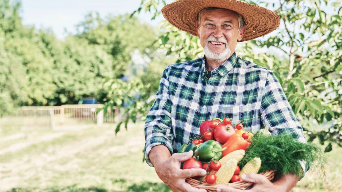 Les Français redécouvrent le plaisir du potager