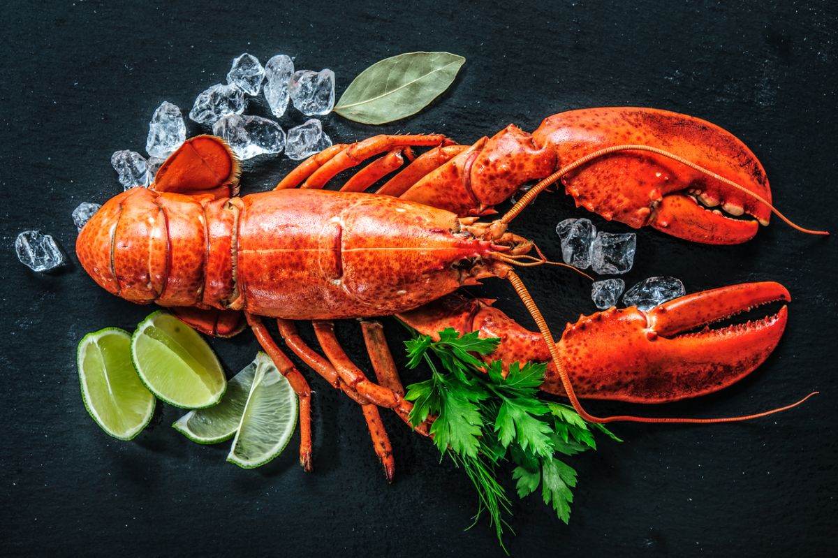 De nouveaux dangers cachés dans vos fruits de mer