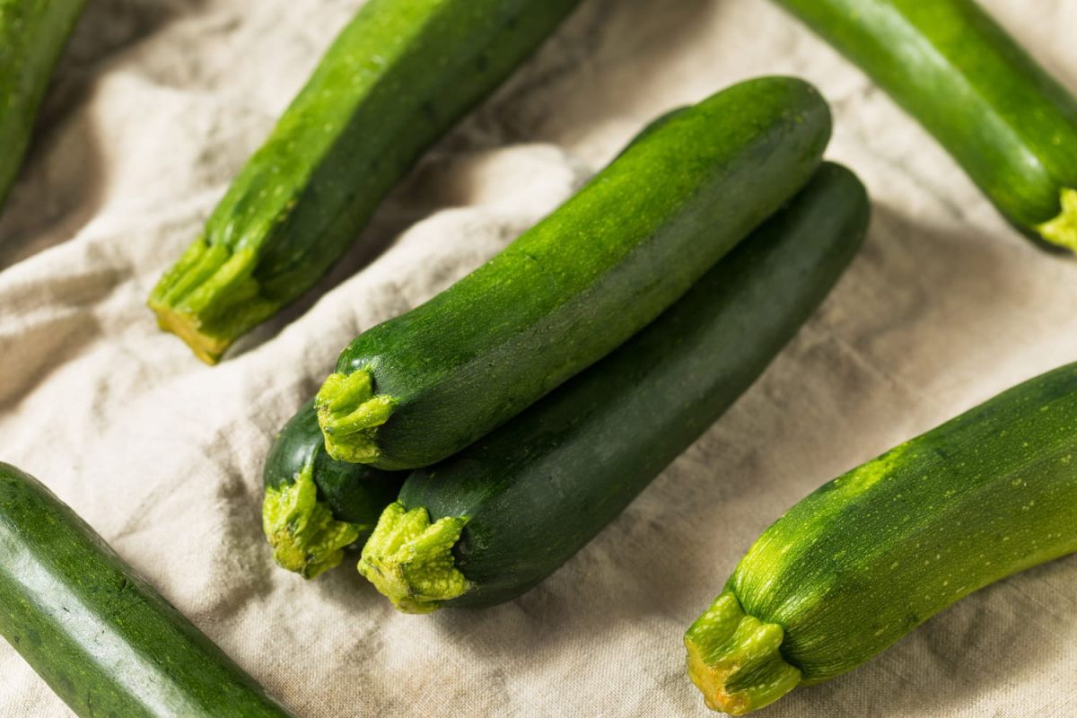 Astuces pour préserver la fraîcheur des courgettes tout l’hiver