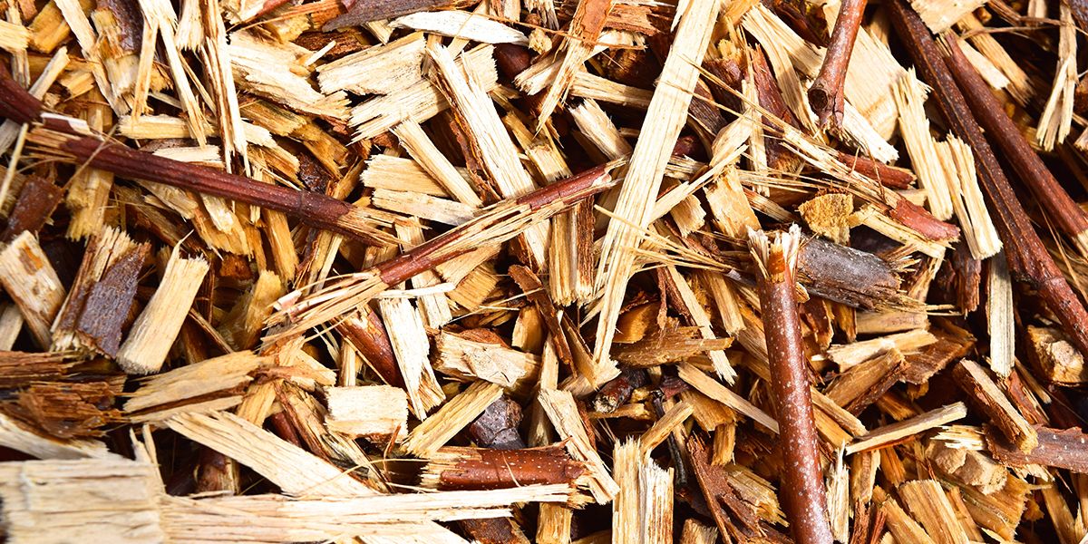 Les secrets du BRF : un allié pour votre jardin