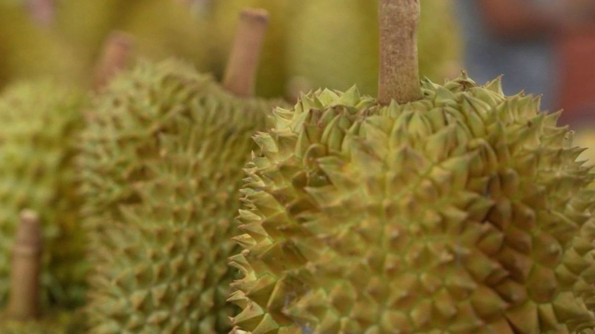 Le durian, un trésor thaïlandais au goût controversé