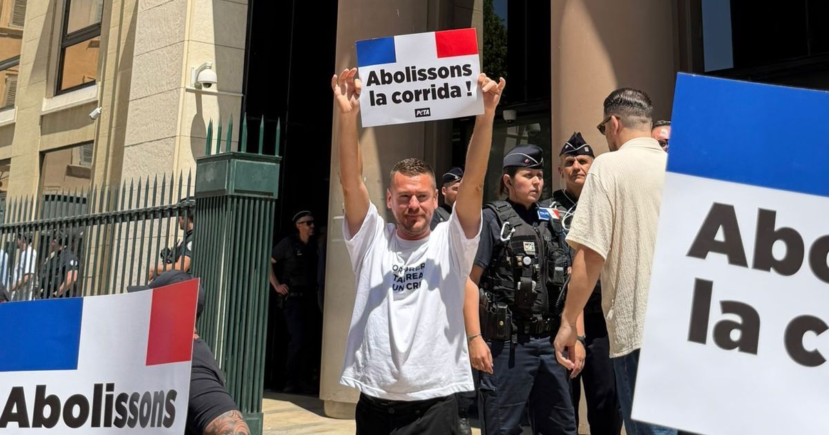 Jeremstar acquitté : un triomphe pour l'influenceur au tribunal de Nîmes