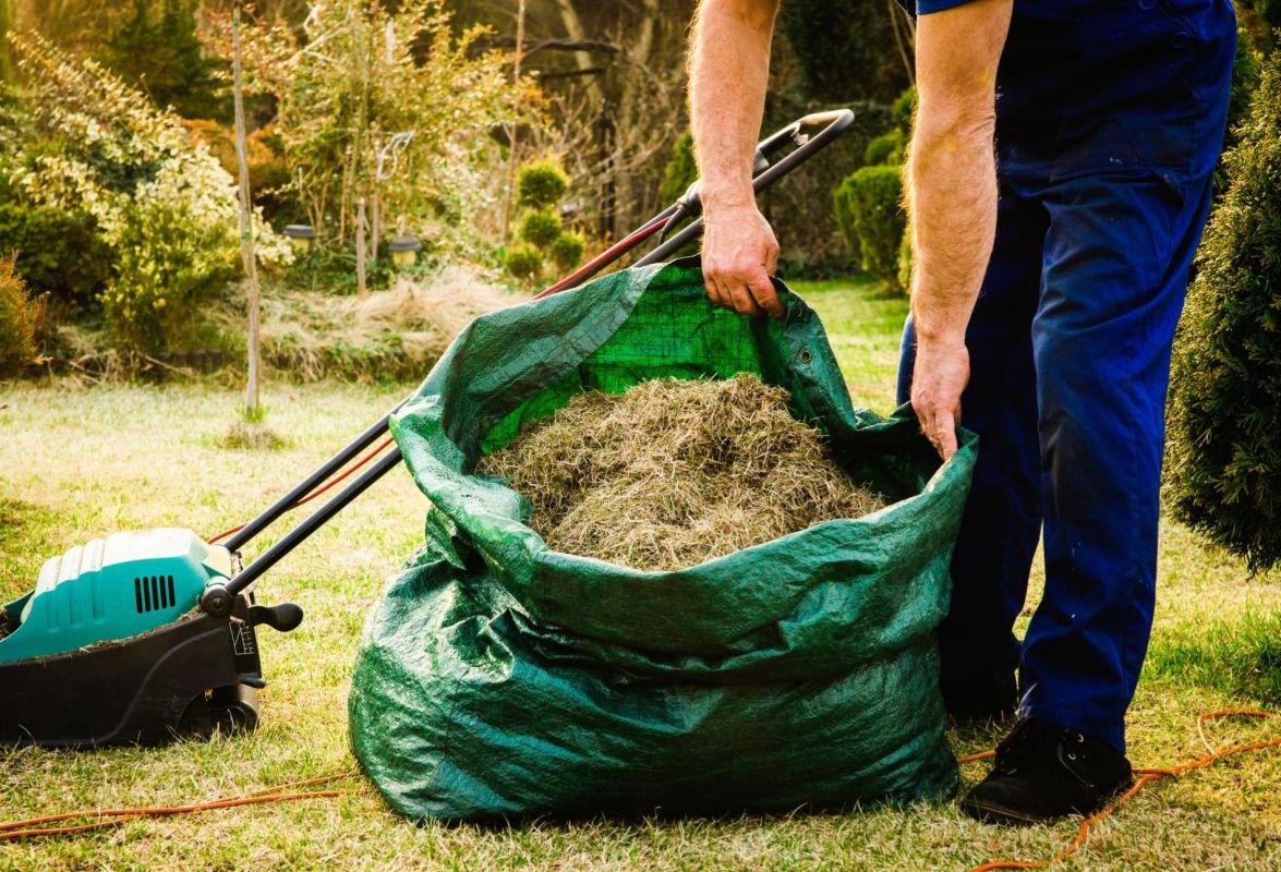 3 astuces surprenantes pour réutiliser votre herbe tondue au jardin