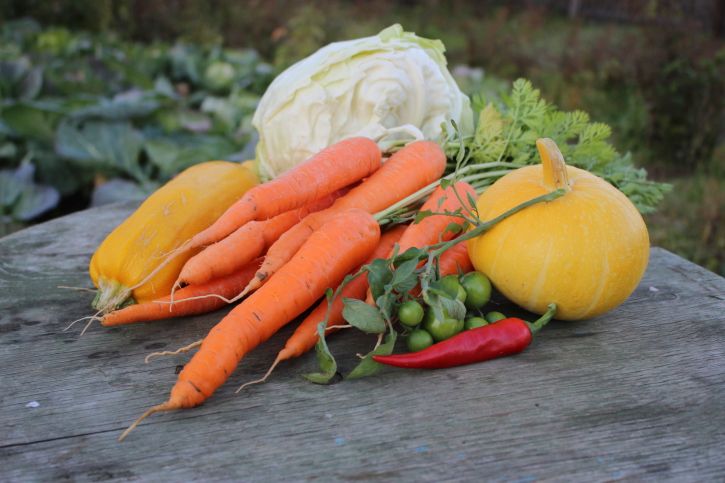 Alimentation hivernale : l'alliée anti-fatigue et anti-kilos