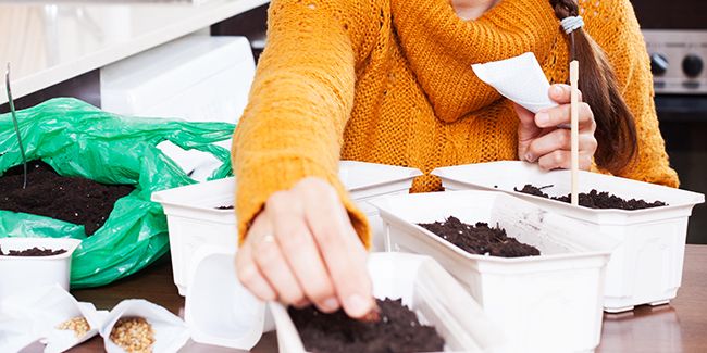 Semis à chaud et semis à froid : guide pratique pour réussir votre jardin