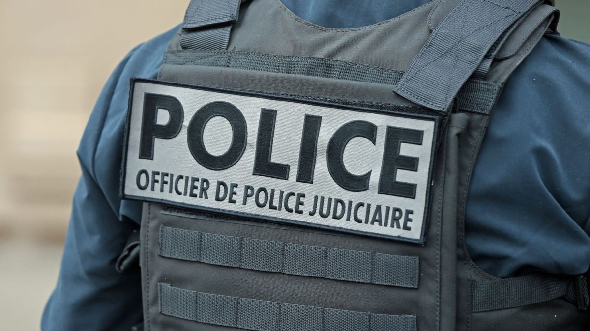 Affaire Lyhanna : "On n'est pas en capacité de traiter tous les dossiers", alerte une policière spécialisée dans les violences sur mineurs