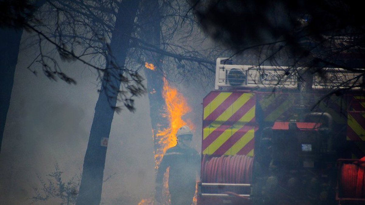 Incendie dévastateur à Sigean : un peu plus de 3 000 m² de végétation en cendres