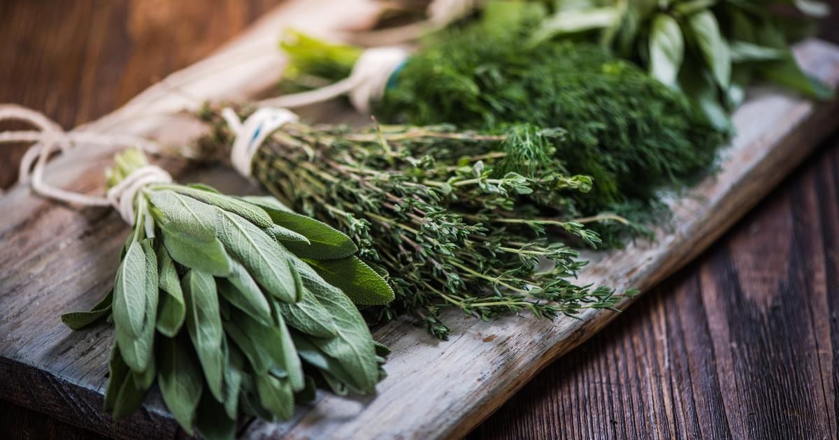 Comment conserver ses herbes aromatiques ?