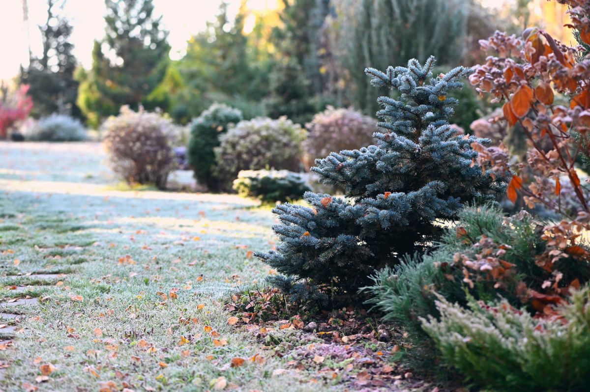 Préparez votre jardin pour le printemps : une astuce simple et écologique