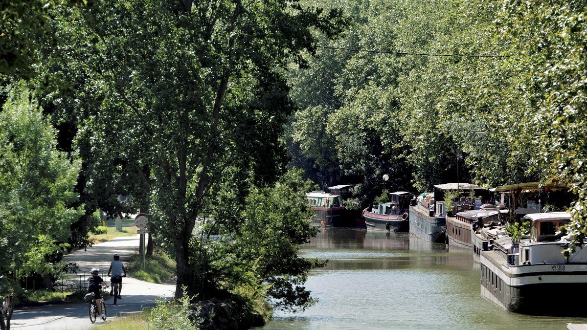Un cadavre découvert dans le canal du Midi : choc à Ramonville-Saint-Agne