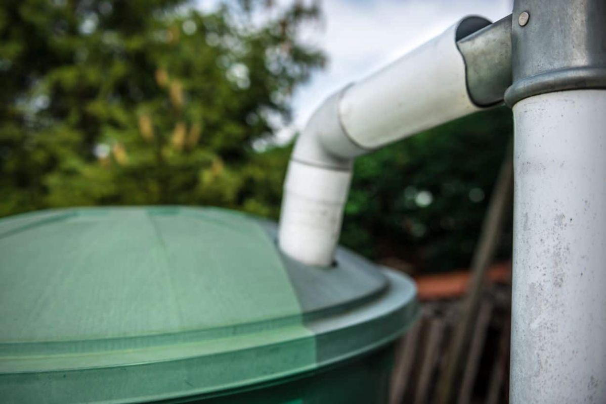 Les clés pour bien choisir votre récupérateur d'eau de pluie