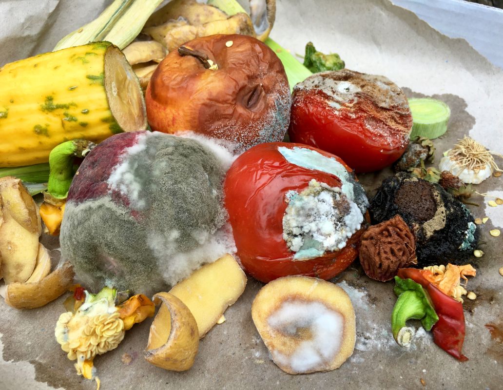 Que faire quand de la moisissure apparaît sur vos aliments ?