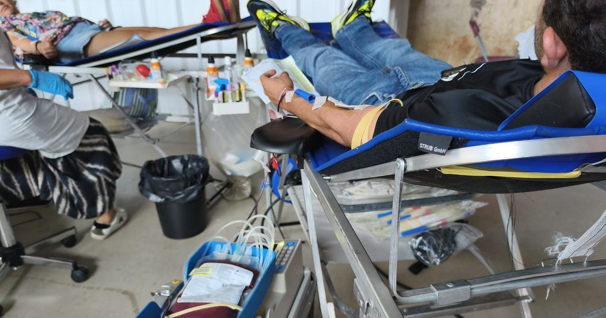 L'EFS appelle à la solidarité : 350 dons de sang nécessaires chaque jour dans l'Hérault
