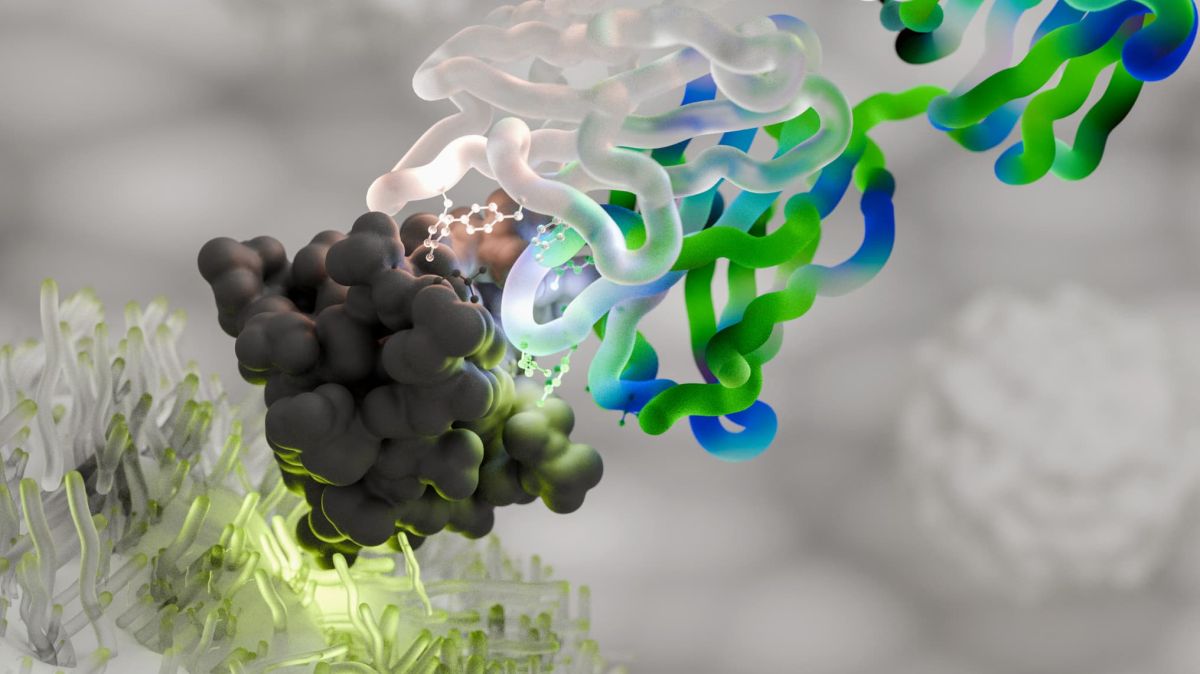 L'industrie pharmaceutique se tourne vers l'espace pour développer des médicaments innovants