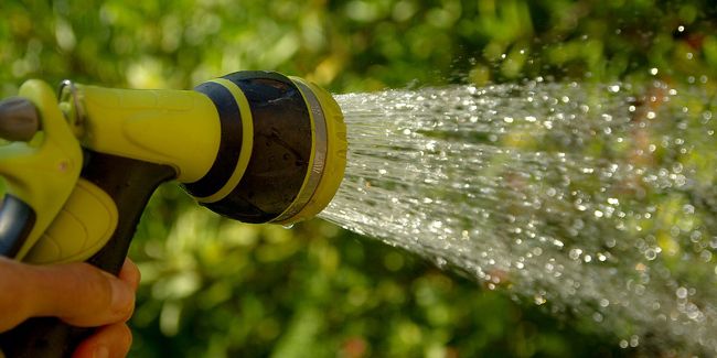 Arroser son jardin : astuces et systèmes pour une gestion optimale de l'eau