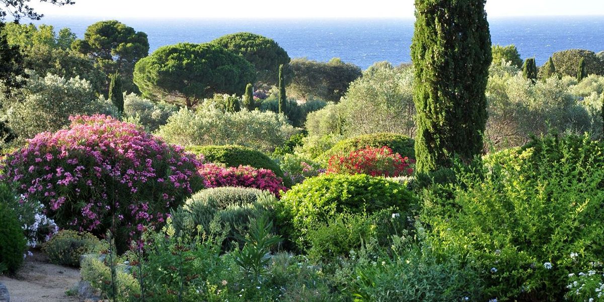 Parc de Saleccia - Corse (20)