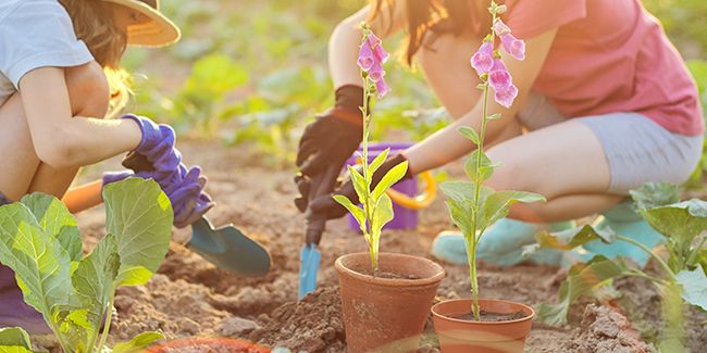 Initier les enfants au jardinage