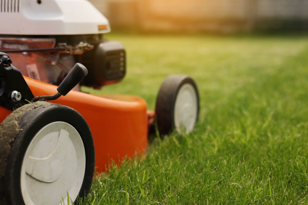 Transformez votre jardin avec la tondeuse électrique STERWINS en promo chez Leroy Merlin