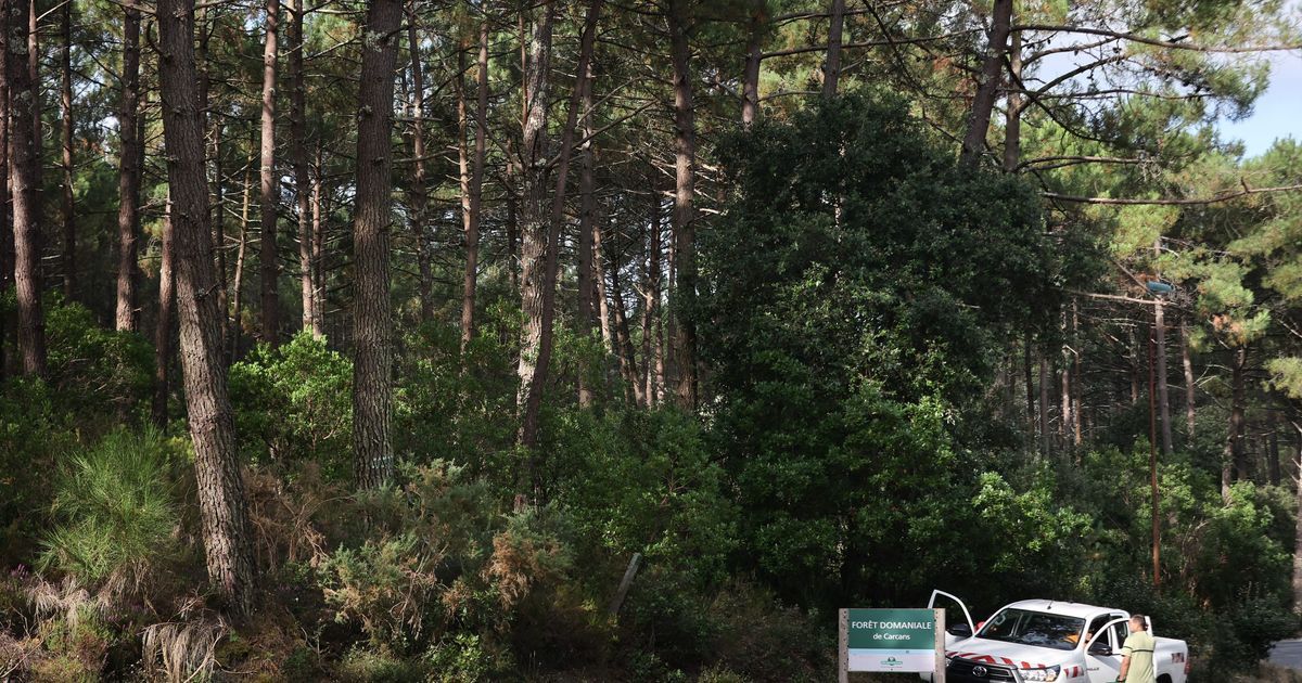 Alerte feux de forêts : l'Aude et les Pyrénées-Orientales en vigilance orange