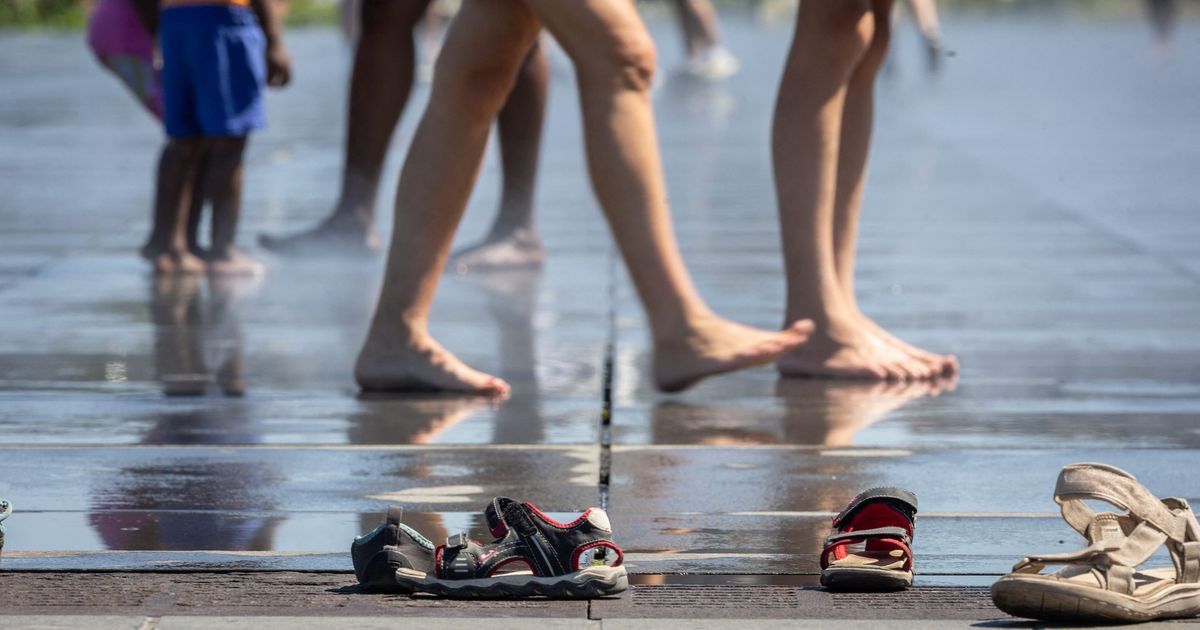 Des solutions rafraîchissantes pour survivre à la chaleur estivale