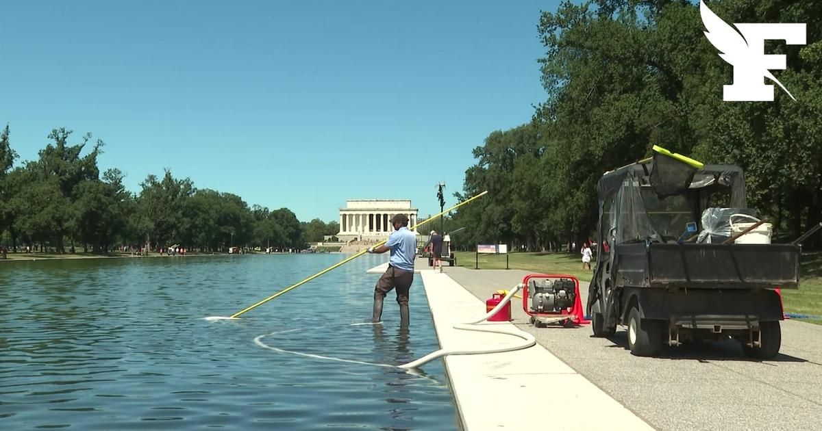 Le bassin de Washington : la rénovation de Trump tourne au désastre algues