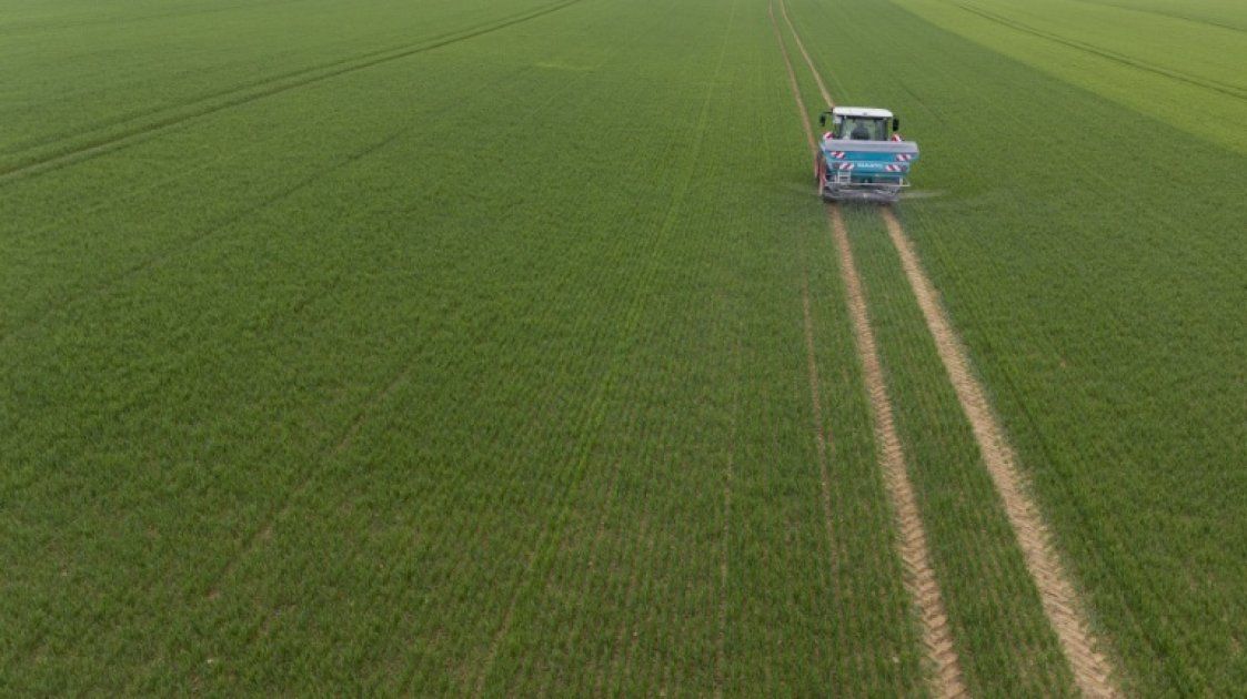 Cultiver sans pesticides : l'Inrae prouve que c'est réalisable