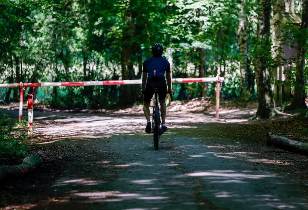 Lyon : levée de l'arrêté controversé anti-cyclistes