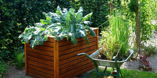 Créer un carré potager surélevé : pratique et esthétique