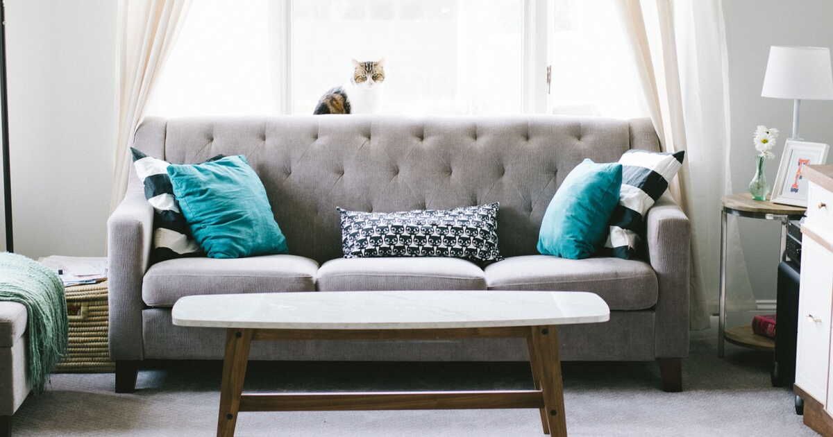 les marques chouchoutes des français pour un salon tendance